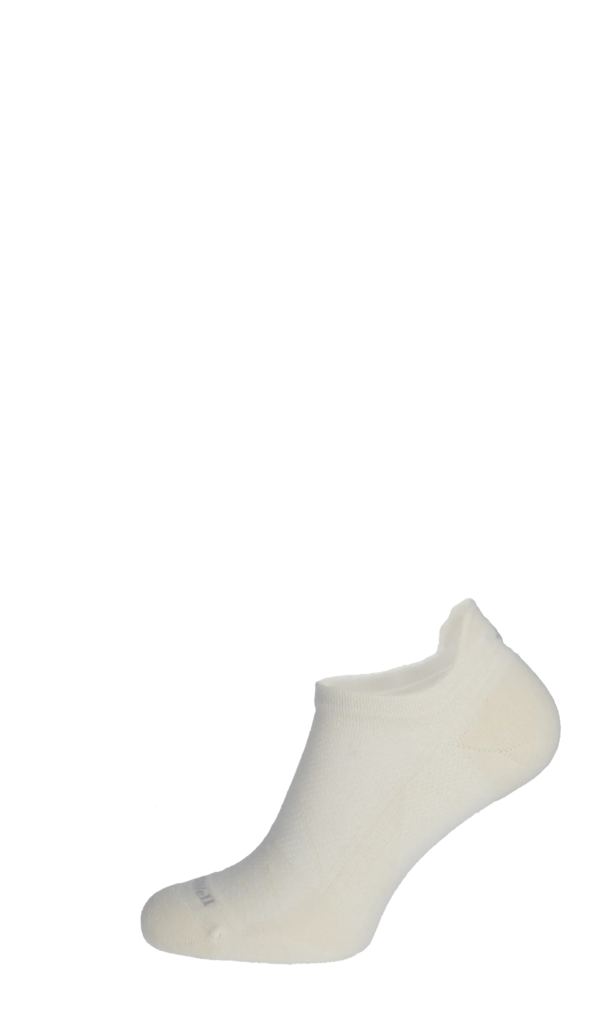 Miniatuur 3